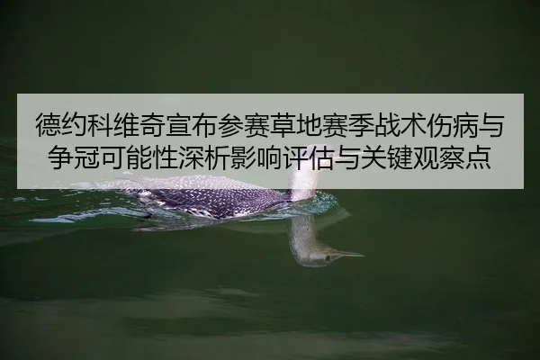 de-yue-ke-wei-qi-xuan-bu-can-sai-cao-di-sai-ji-zhan-shu-shang-bing-yu-zheng-guan-ke-neng-xing-shen-xi-ying-xiang-ping-2-517.jpg